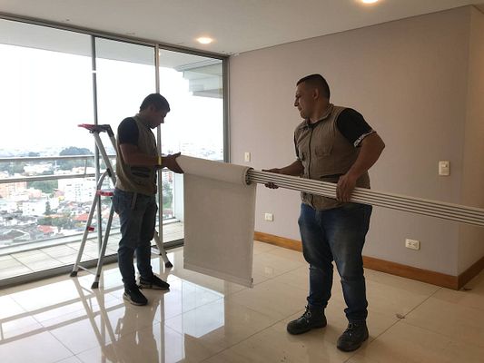 Proyecto 6